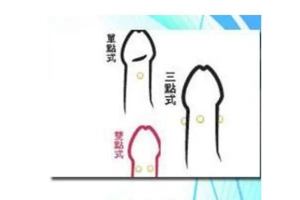 入珠是什么意思?男性的小弟弟镶嵌珠子(加强战斗力)