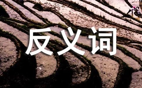 朴素的反义词是什么