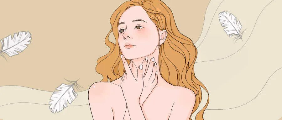 人体最大的器官是什么器官