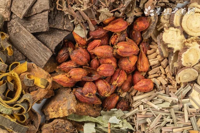 犬瘟热病毒治疗预防方法