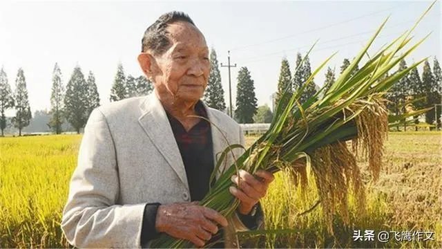 为什么袁隆平院士的儿子都如此优秀?