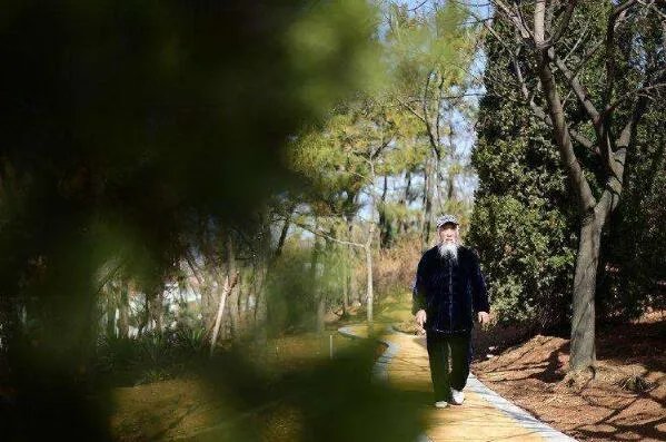 中国十大武术宗师排名 李小龙上榜,霍元甲威震武林