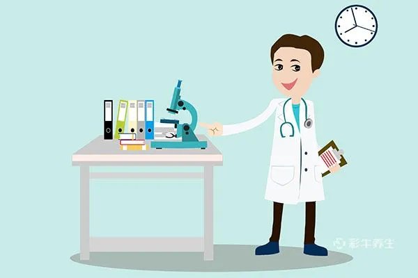 胃友的功效与作用