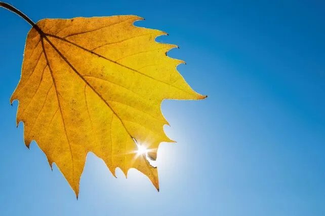 2020年立秋图片大全 立秋节气的图片景色大图2020