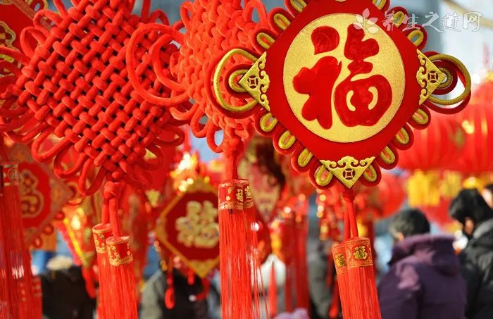 枸杞价格多少钱一斤？枸杞影响价格的因素