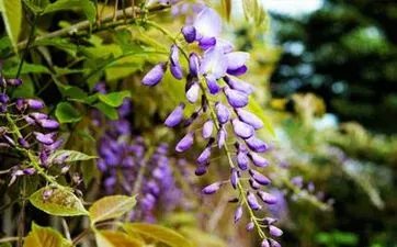 下葬吉日查询 2023年最佳下葬黄道吉日一览表