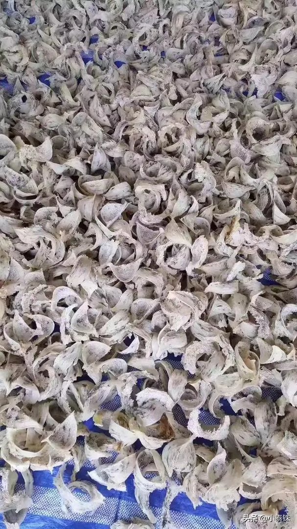 泰国最值得买什么？