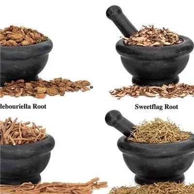 葛根的副作用是什么