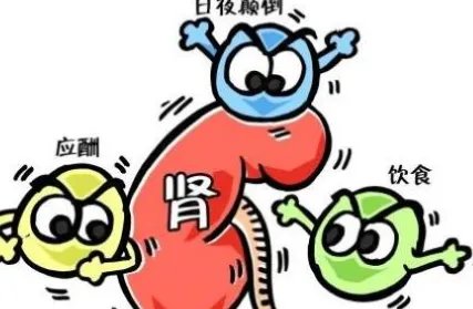 蛋白尿治疗方法