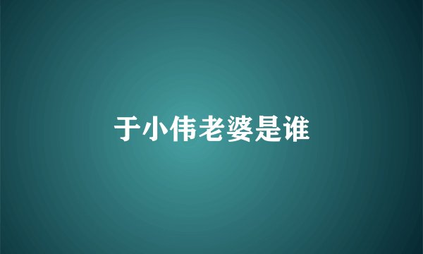 于小伟老婆是谁