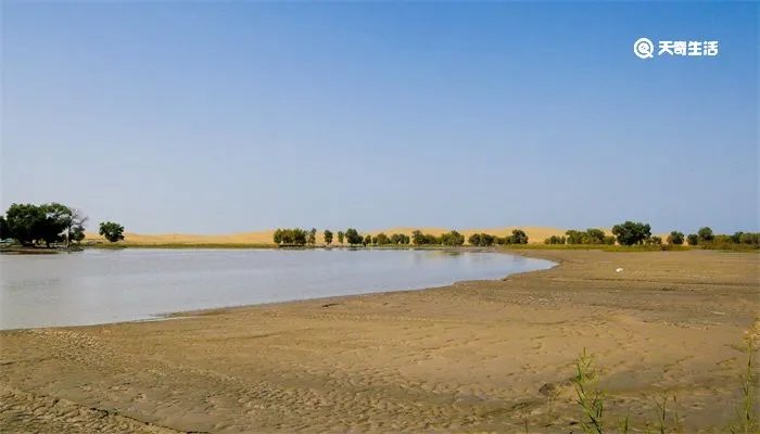 中国最大面积的省份是哪个