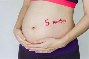 怀孕5个月的图片