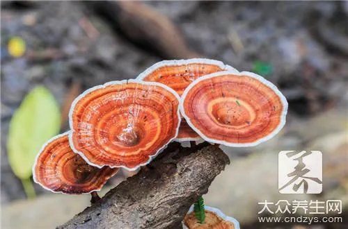 灵芝多糖的作用与功效有哪些呢?