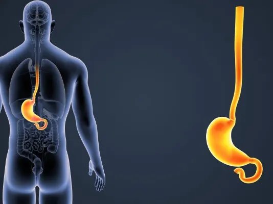 前列腺怎么按摩保养