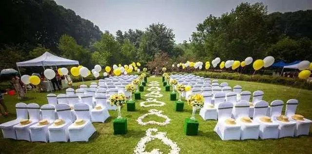 奉子成婚是什么意思 奉子成婚是什么意思