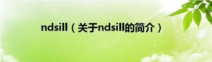 ndsill（关于ndsill的简介）