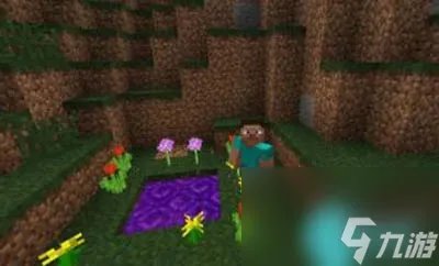 我的世界暮色森林传送门怎么制作-我的世界暮色森林传送门制作方法