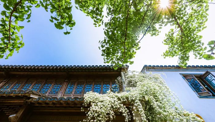 南京是什么城 南京是属于什么城之称