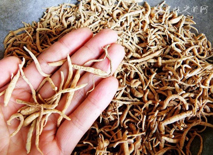 犯太岁如何化解？犯太岁化解法汇总