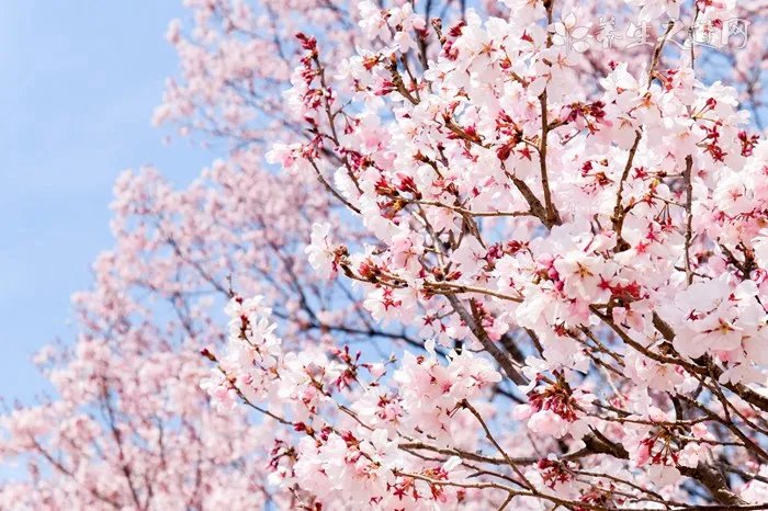 农历七月初七是几号