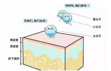 润百颜玻尿酸价格是多少