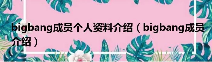 bigbang成员个人资料介绍（bigbang成员介绍）