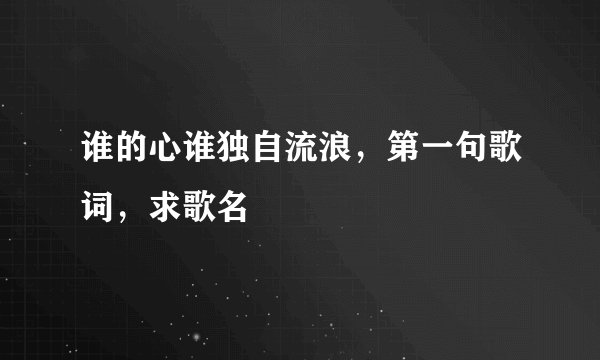 谁的心谁独自流浪，第一句歌词，求歌名