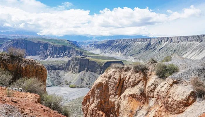 江西七朵金花是什么 七朵金花代表什么