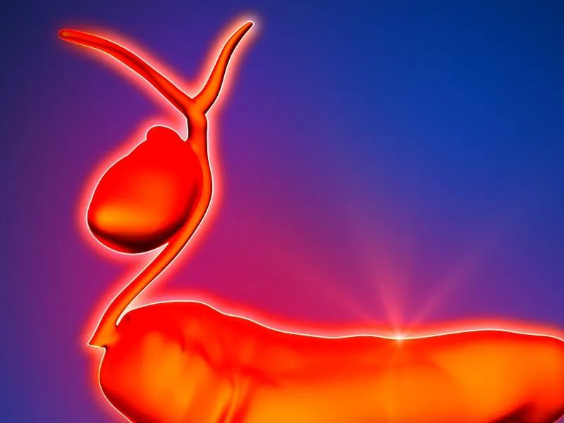 胆囊壁欠光滑什么意思