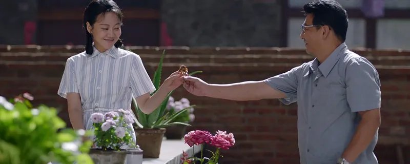 亲爱的爸妈一共多少集 亲爱的爸妈总集数