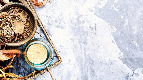 西洋参的功效与作用及禁忌症