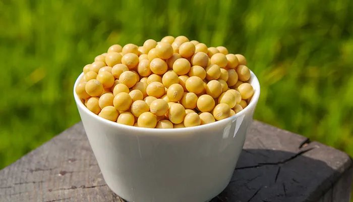 菽是指什么 菽是指什么农作物