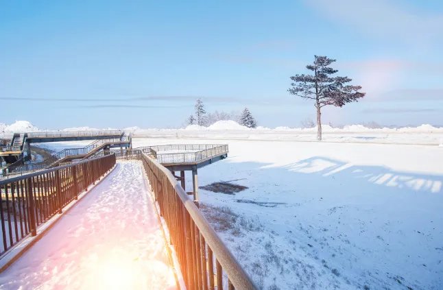 中国农历有多少个节气 中国农历24节气简单解释