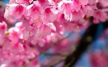 厕所在东北角好吗 卫生间在哪个方位最好