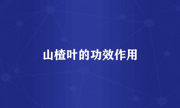 山楂叶的功效作用