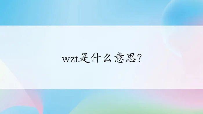 wzt是什么意思?