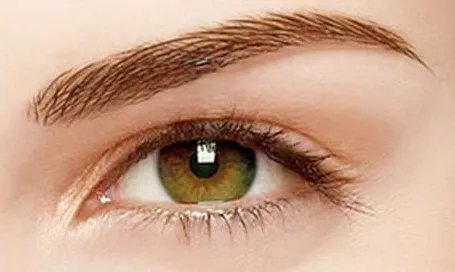 眼部整形的费用