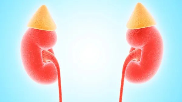 肾肿瘤的症状有什么