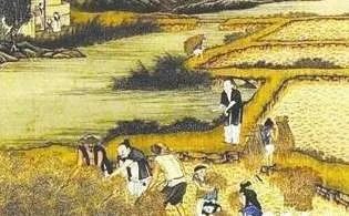 初税亩