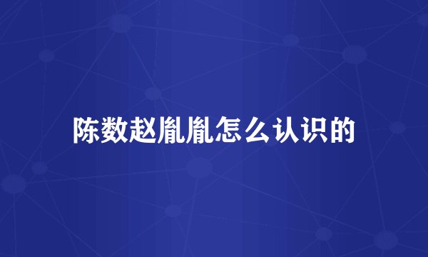 陈数赵胤胤怎么认识的