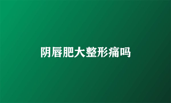 阴唇肥大整形痛吗