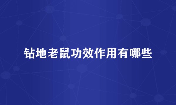 钻地老鼠功效作用有哪些