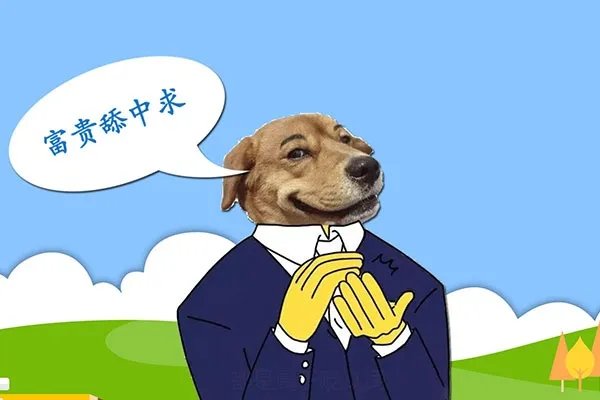 8426468是什么意思