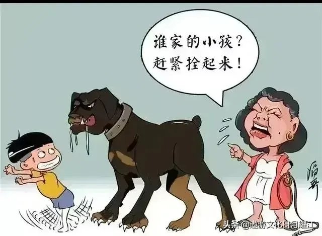 狗伤人，人可以伤狗吗？