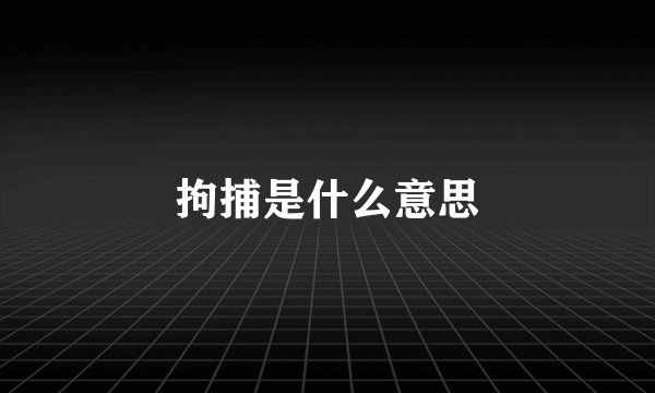 拘捕是什么意思