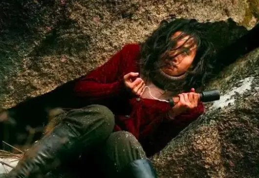 评分9.0以上的谍战剧