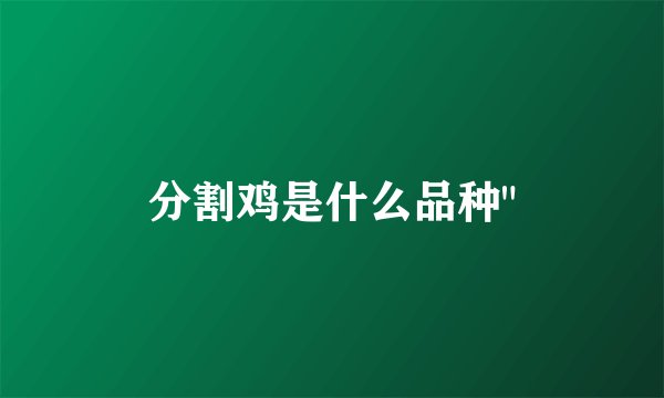 分割鸡是什么品种