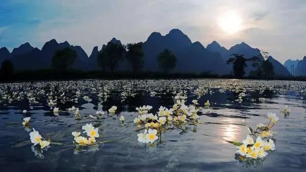 广西边境口岸有哪些?