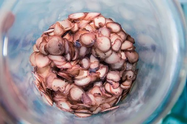 鹿鞭片不能和什么一起吃