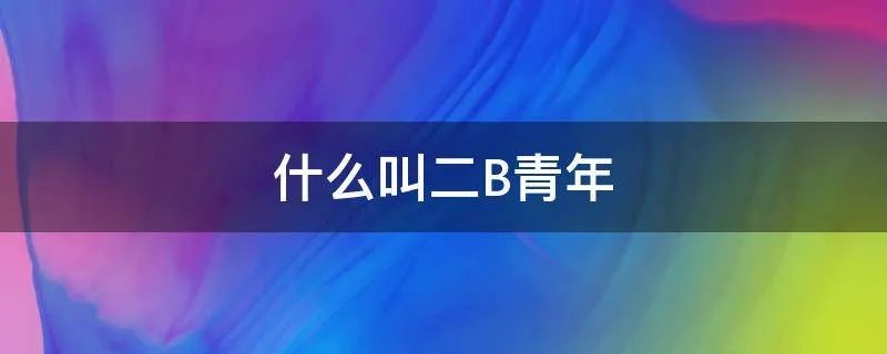 什么叫二B青年